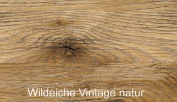 wildeiche-32
